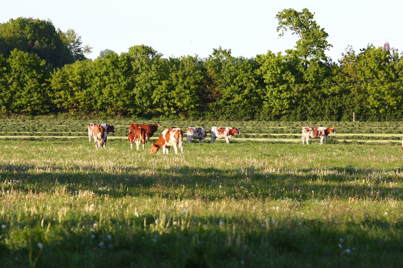 Bild 11 - Abendstimmung 2009